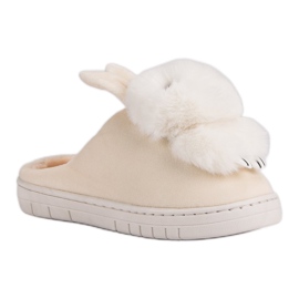 Pantuflas calientes marrón 3