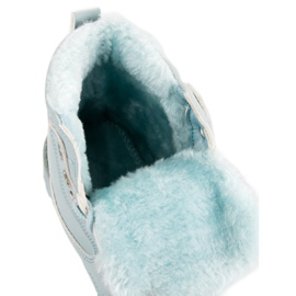 Tramperos azules clásicos 1