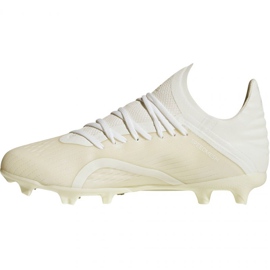 Botas de fútbol adidas X 18.1 FG Jr DB2430 1