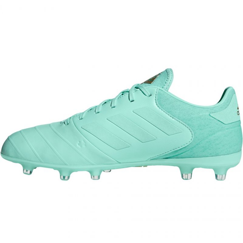 Botas de fútbol adidas Copa 18.2 FG M DB2446 azul 2