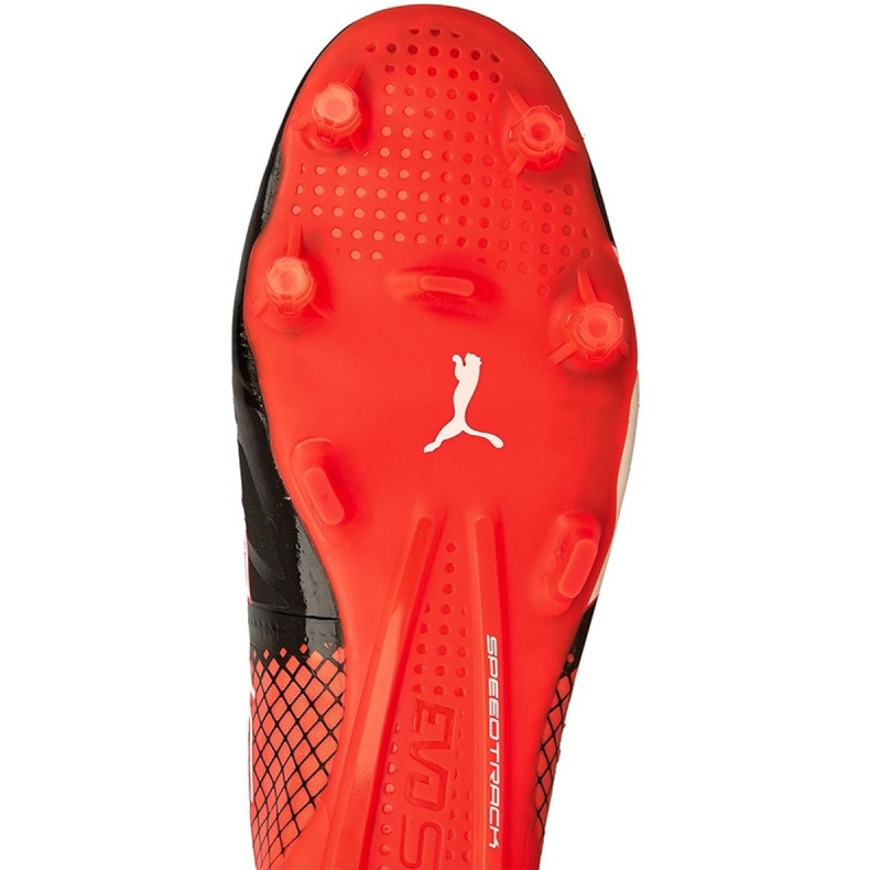 Botas de fútbol Puma evoSPEED 1.5 Tricks Fg M 10359703 multicolor multicolor 1