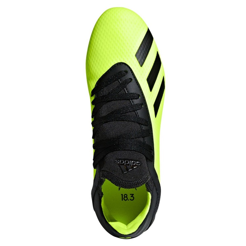 Botas de fútbol adidas X 18.3 Fg Jr DB2418 multicolor verde 2