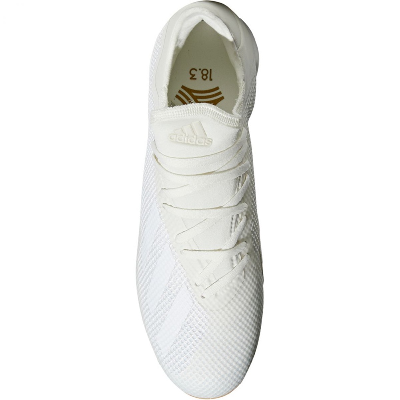 Zapatos de interior adidas X Tango 18.3 In M DB2439 blanco beige 1