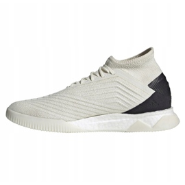 Zapatos de interior adidas Predator 19.1 Tr M D98056 multicolor blanco 1