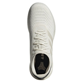 Zapatos de interior adidas Predator 19.1 Tr M D98056 multicolor blanco 2