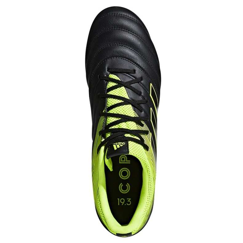 Botas de fútbol adidas Copa 19.3 Sg M CG6920 negro negro 2