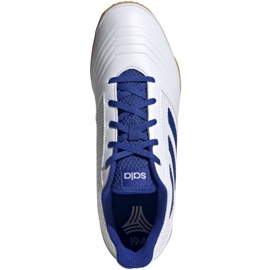 Zapatos de interior adidas Predator 19.4 In Sala M D97974 blanco blanco 2