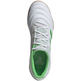 Zapatos de interior adidas Copa 19.3 In Sala M BC0559 blanco blanco 1