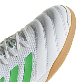 Zapatos de interior adidas Copa 19.3 In Sala M BC0559 blanco blanco 3