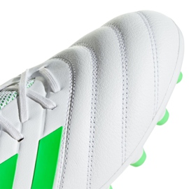 Botas de fútbol adidas Copa 19.3 Ag M F35775 blanco blanco 7