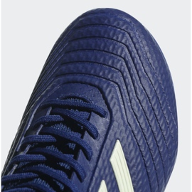 Botas de futbol Adidas Predator 18.3 Fg M CP9304 azul azul 5