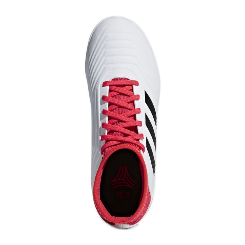 Zapatos de interior adidas Predator Tango 18.3 In Jr CP9073 multicolor blanco 2 Zapatos de interior adidas Predator Tango 18.3 In Jr CP9073 multicolor blanco 2