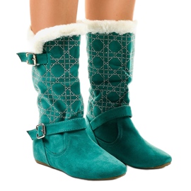 Botas planas verdes hasta la mitad de la pantorrilla R100 1 Botas planas verdes hasta la mitad de la pantorrilla R100 1