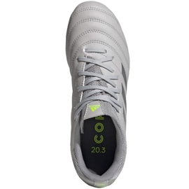 Botas de fútbol adidas Copa 20.3 Fg Jr EF8332 gris gris 1