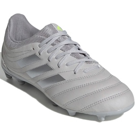Botas de fútbol adidas Copa 20.3 Fg Jr EF8332 gris gris 3