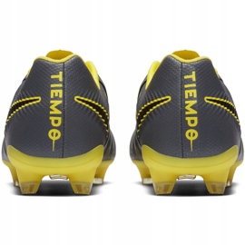 Zapatos de fútbol Nike Tiempo Legend 7 Pro Fg M AH7241070 multicolor gris 4