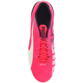 Botas de fútbol Puma Evo Speed ​​3.3 Fg M 103014 03 rosa rosa 1
