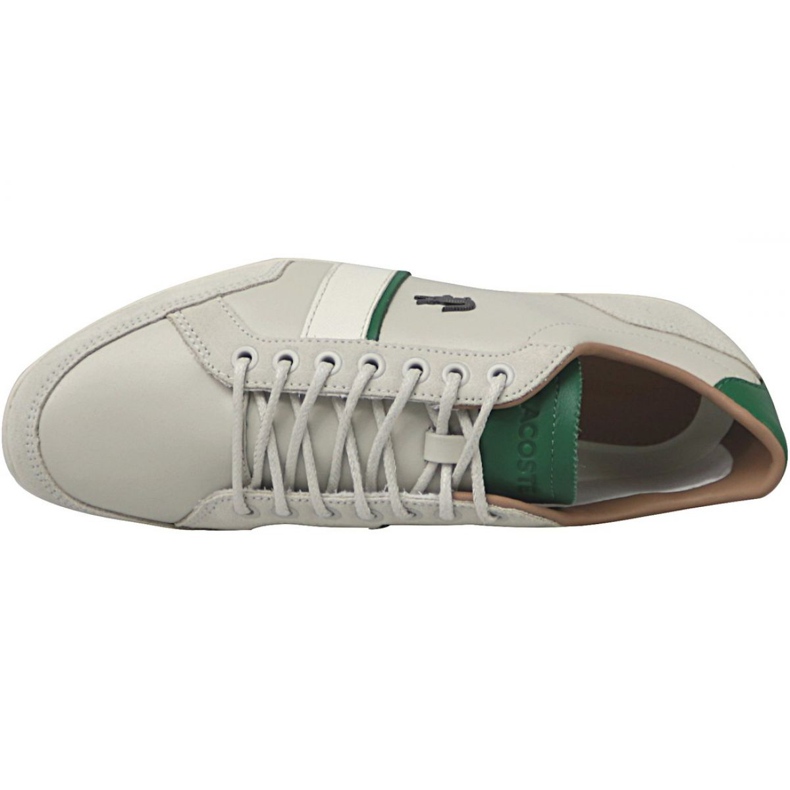 Lacoste Alisos 117 1 M CAM1018098 multicolor 2