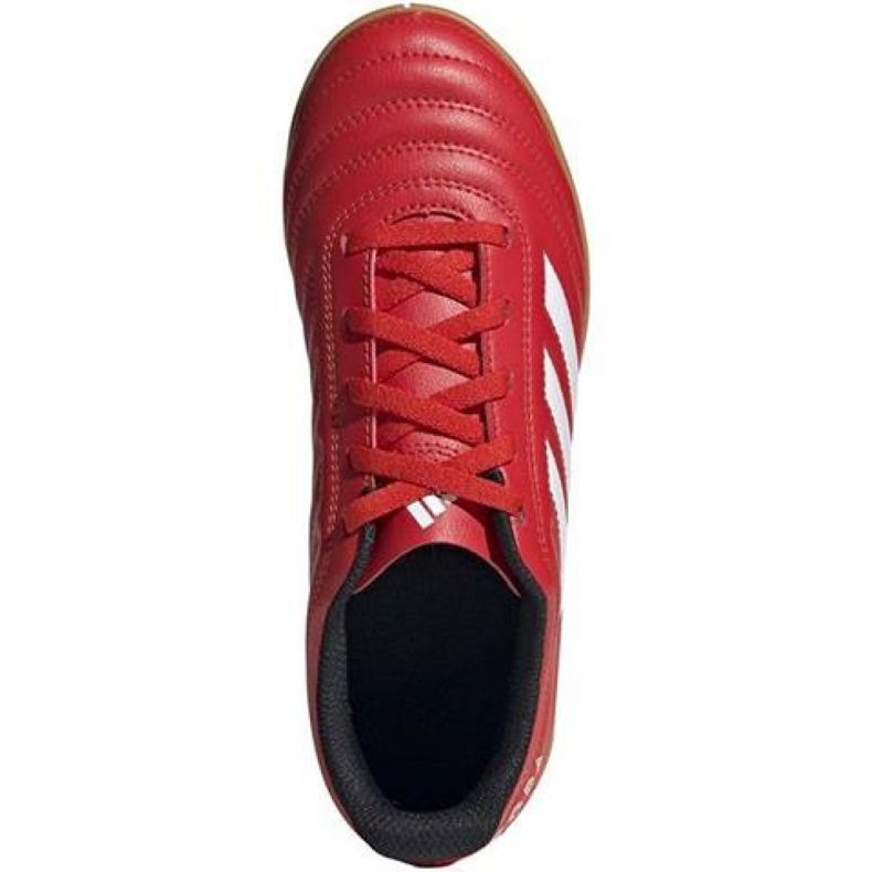 Zapatos de interior adidas Copa 20.4 In Jr EF1928 rojo rojo 1 Zapatos de interior adidas Copa 20.4 In Jr EF1928 rojo rojo 1