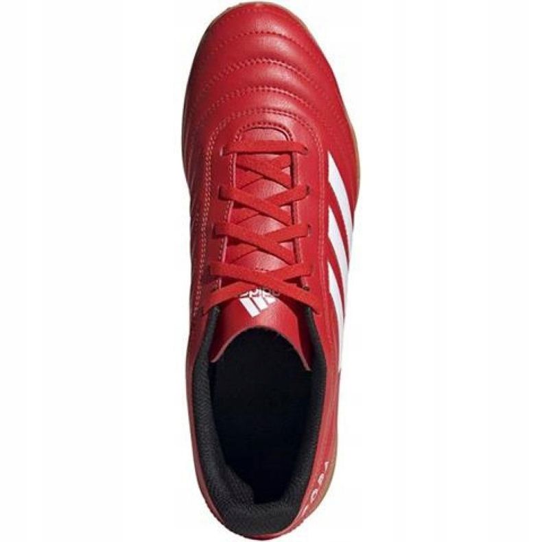 Zapatos de interior adidas Copa 20.4 In M EF1957 rojo rojo 1