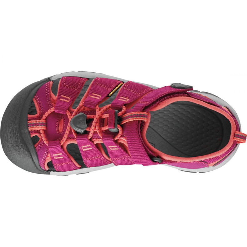 PANTHERA Keen Newport H2 Jr 1014251 rosado 2