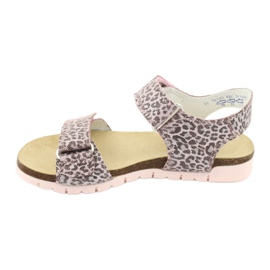 Sandalias rosadas en Leopard Print Bartek 76183-BBK 1