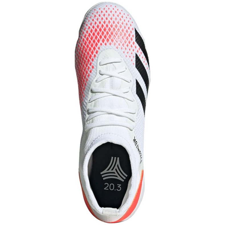 Zapatos de interior adidas Predator 20.3 In M EG0916 rojo blanco 1