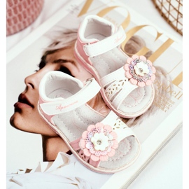 Apawwa Sandalias para niños con Velcro Flor Rosa Mino 1