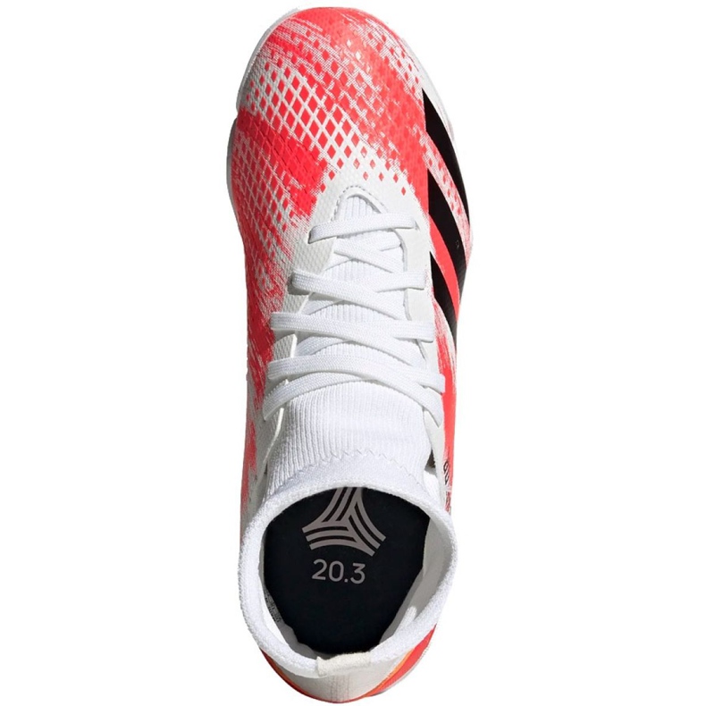 Zapatos de interior adidas Predator 20.3 In Jr EG0931 multicolor blanco 1