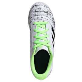 Zapatos de interior adidas Copa 20.4 In Jr EF1927 multicolor blanco 1 Zapatos de interior adidas Copa 20.4 In Jr EF1927 multicolor blanco 1