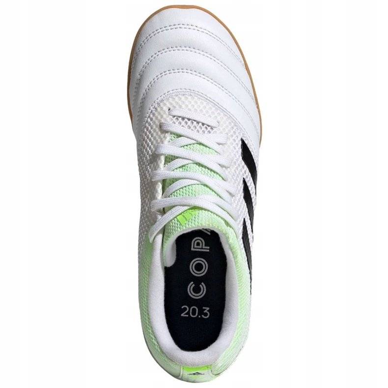 Zapatos de interior adidas Copa 20.3 In Sala Jr EF1916 multicolor blanco 1