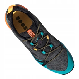 Zapatillas Adidas Terrex Skychaser Lt Gtx M FX0148 multicolor azul 4