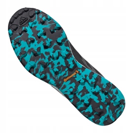 Zapatillas Adidas Terrex Skychaser Lt Gtx M FX0148 multicolor azul 5