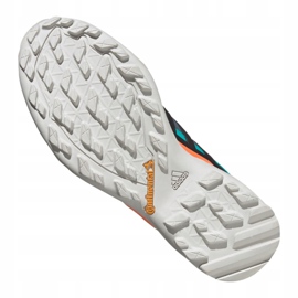 Zapatillas Adidas Terrex Swift R2 Gtx M FV6843 azul marino verde 2