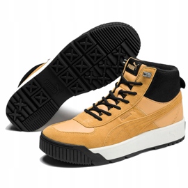 Zapatillas de hombres Puma Tarrenz Sb marrón claro 370551 02 2