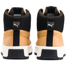 Zapatillas de hombres Puma Tarrenz Sb marrón claro 370551 02 3