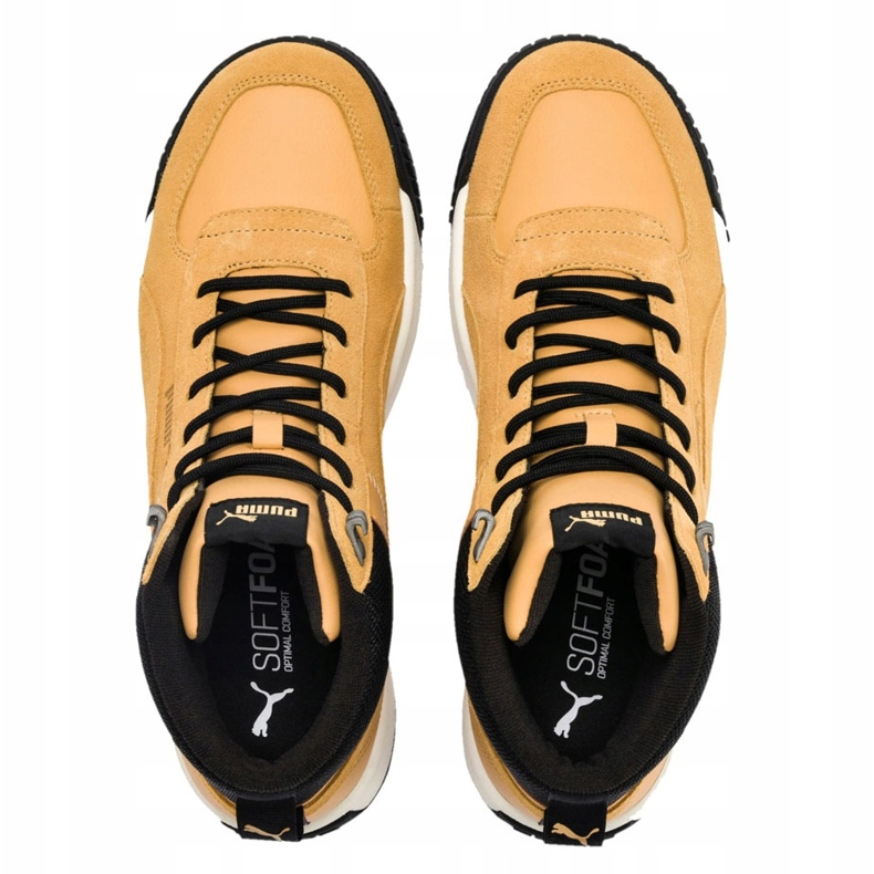 Zapatillas de hombres Puma Tarrenz Sb marrón claro 370551 02 1