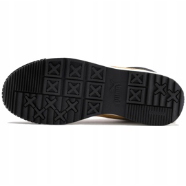 Zapatillas de hombres Puma Tarrenz Sb marrón claro 370551 02 4
