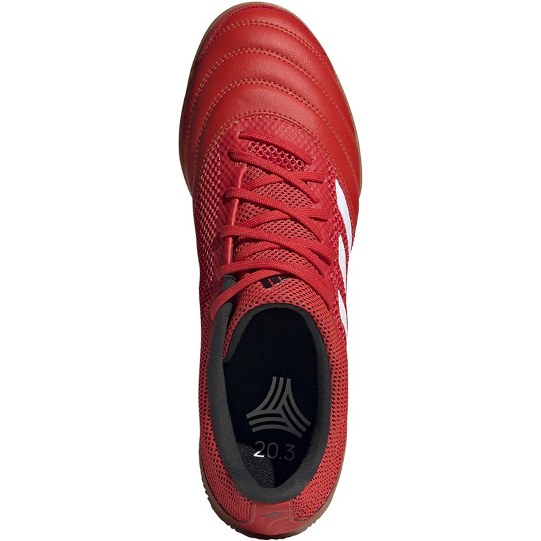 Adidas Copa 20.3 In Sala zapatillas de fútbol rojas G28548 rojo rojo 1