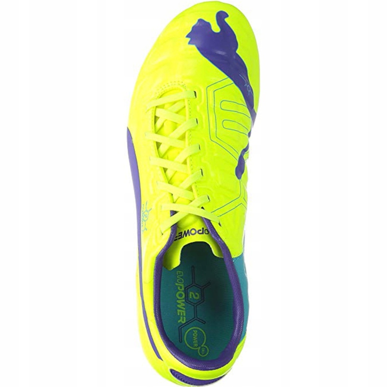 Botas de fútbol Puma Evo Power 2 Fg amarillo-violeta 102945 04 1