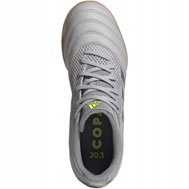 Botas de fútbol adidas Copa 20.3 In Jr EF8338 gris gris 1