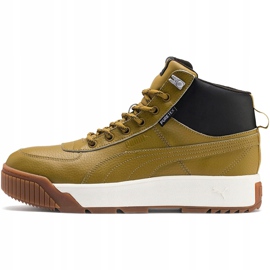 Zapatillas de hombres Puma Tarrenz Sb Puretex olive 370552 02 multicolor verde 2
