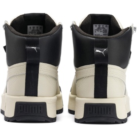 Zapatillas de hombre Puma Tarrenz Sb Puretex beige 370552 03 4