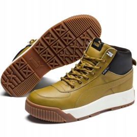 Zapatillas de hombres Puma Tarrenz Sb Puretex olive 370552 02 multicolor verde 3