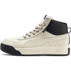 Zapatillas de hombre Puma Tarrenz Sb Puretex beige 370552 03 2