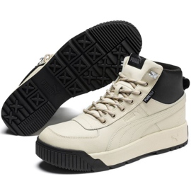 Zapatillas de hombre Puma Tarrenz Sb Puretex beige 370552 03 3