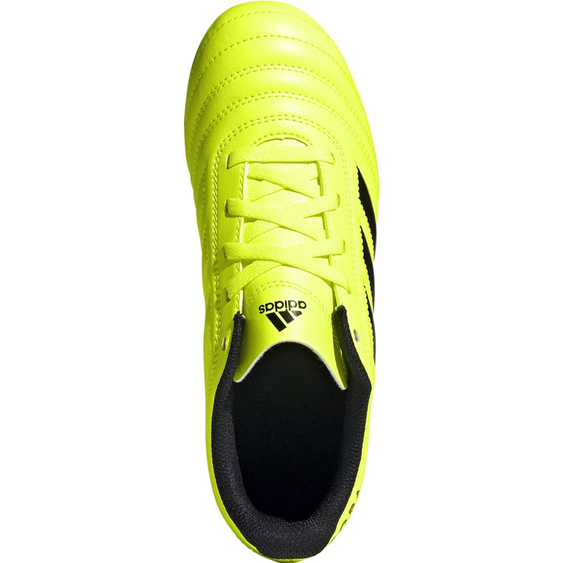 Botas de fútbol Adidas Copa 19.4 Fg Junior amarillas F35461 amarillo amarillo 1