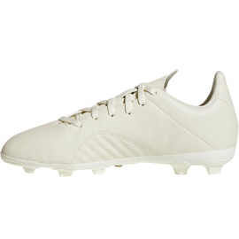 Botas de fútbol adidas X 18.4 FxG Jr DB2421 multicolor beige 1