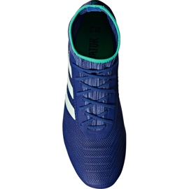 Botas de fútbol adidas Predator 18.2 Fg CP9293 multicolor azul 2
