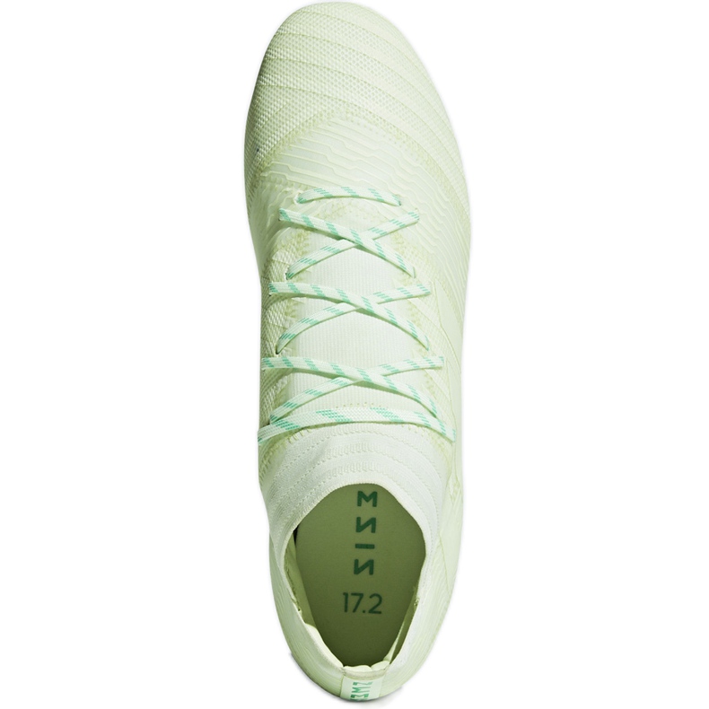 Botas de fútbol adidas Nemeziz 17.2 Fg CP8973 verde verde 1